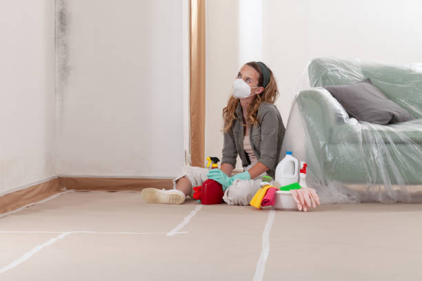 Reliable Mold Remediation contractor in Woodbine, GA by Cheap Mold Removal